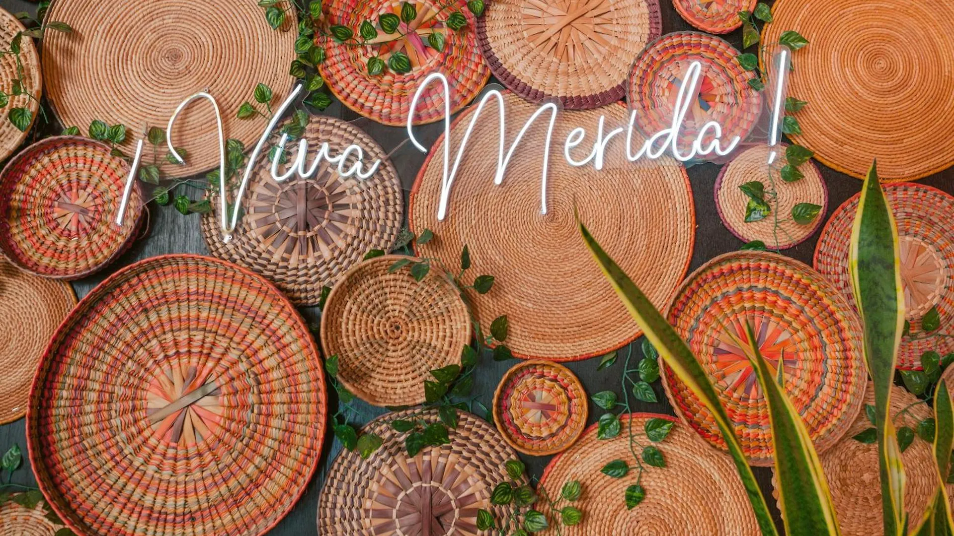 Viva Merida Hotel Boutique メキシコ